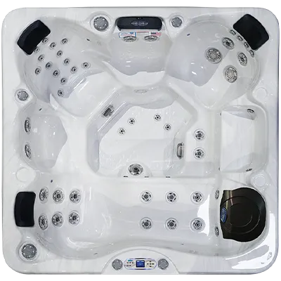 Avalon EC-849L hot tubs for sale in San Francisco