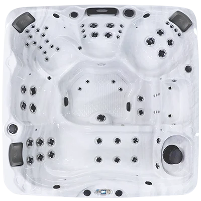 Avalon EC-867L hot tubs for sale in San Francisco