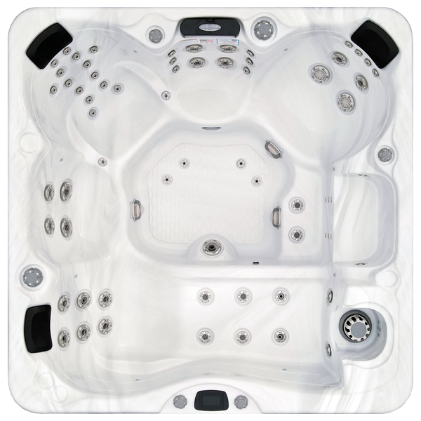 Avalon-X EC-867LX hot tubs for sale in San Francisco