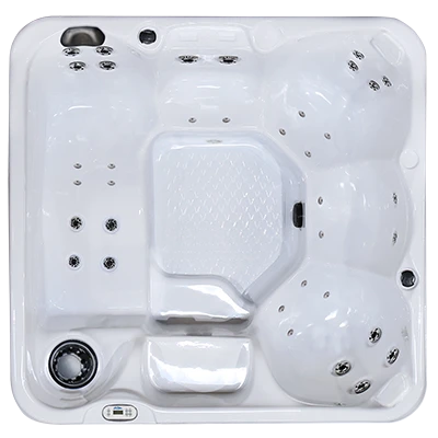 Hawaiian PZ-636L hot tubs for sale in San Francisco